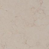 ANT446