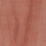 CTN6591