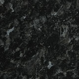 PP5568