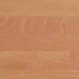 PP7581